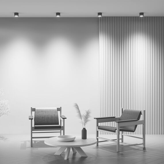 Maytoni Technical C095CL-GX53-B Светильник потолочный Rendo, изображение 5
