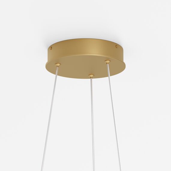 Maytoni Decorative MOD058PL-L32BSK Люстра подвесная светодиодная Rim, изображение 5