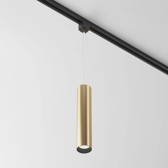 Maytoni Technical TR025-1-GU10-MG Трековый однофазный светильник Unity Focus, изображение 2