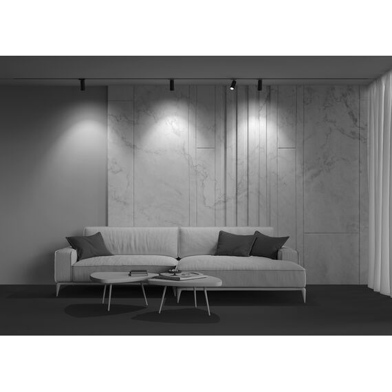 Maytoni Technical TR021-1-124K-Z-B Трековый однофазный светодиодный светильник Unity Focus LED, изображение 6