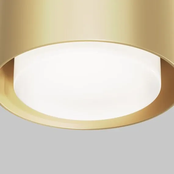 Maytoni Technical C092CL-GX53-MG Потолочный светильник Space, изображение 2