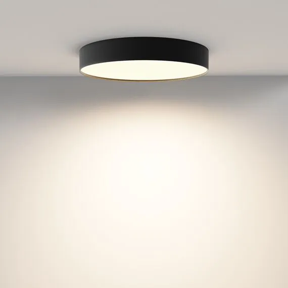 Maytoni C032CL-45W3K-RD-B Потолочный светильник Zon 3000K 45W 120°, изображение 4