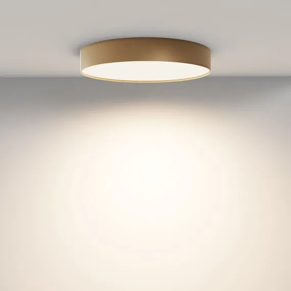 Maytoni Technical C032CL-45W3K-RD-MG Потолочный светильник Zon, изображение 4