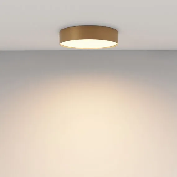 Maytoni Technical C032CL-36W3K-RD-MG Светильник потолочный светодиодный Zon, изображение 5