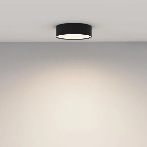 Maytoni Technical C032CL-24W4K-RD-B Светильник потолочный светодиодный Zon, изображение 4