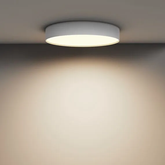 Maytoni Technical C032CL-45W3K-RD-W Потолочный светильник Zon, изображение 4