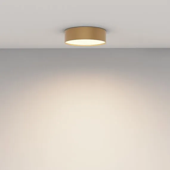 Maytoni Technical C032CL-24W3K-RD-MG Светильник потолочный светодиодный Zon, изображение 4