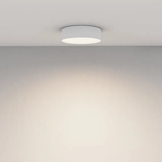 Maytoni Technical C032CL-24W4K-RD-W Потолочный светильник Zon, изображение 5