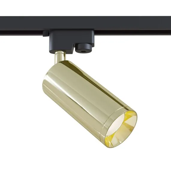 Maytoni Technical TR004-1-GU10-G Трековый светильник Focus