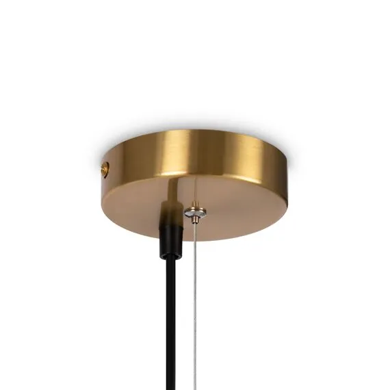 Freya FR5259PL-06BS Светильник подвесной Blossom, изображение 5