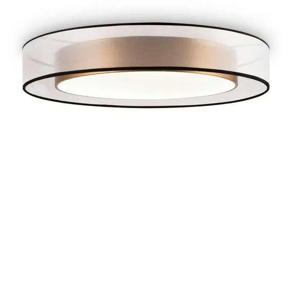 Freya FR6005CL-L48G Потолочный светодиодный светильник Zoticus