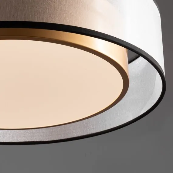 Freya FR6005CL-L36G Потолочный светодиодный светильник Zoticus, изображение 3
