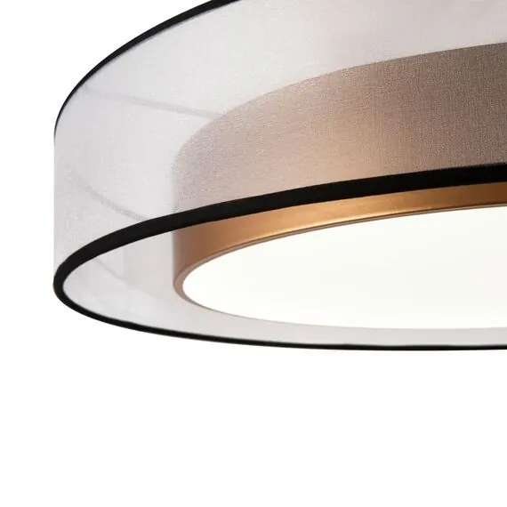 Freya FR6005CL-L48G Потолочный светодиодный светильник Zoticus, изображение 5
