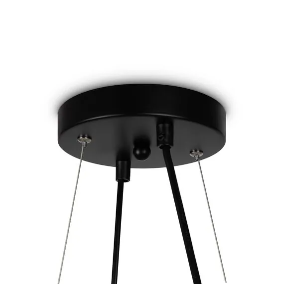 Freya FR5222PL-08B Люстра подвесная Globos, изображение 4