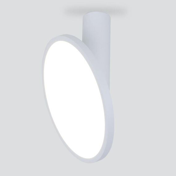 Elektrostandard a047771 DLS029 Светильник накладной белый матовый
