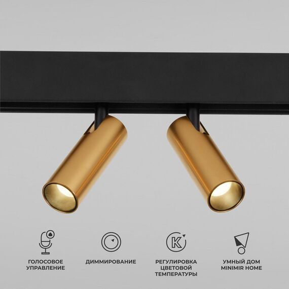 Elektrostandard a063527 85056/01 Slim Magnetic Умный трековый светильник 14W 2700-6500K Dim Dual (латунь)