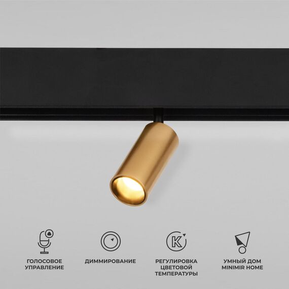 Elektrostandard a063531 85071/01 Slim Magnetic Умный трековый светильник 5W 2700-6500K Dim Cantors (латунь)