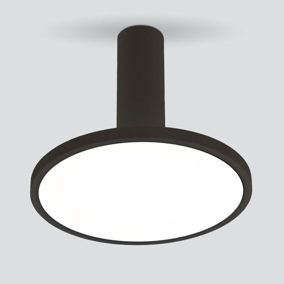 Elektrostandard a047772 DLS029 Светильник накладной черный матовый, изображение 2