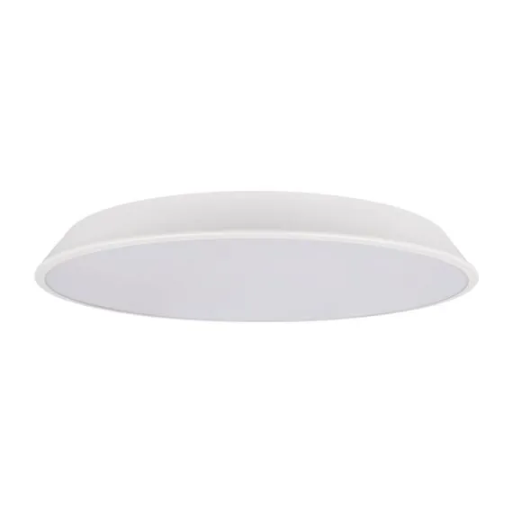 LOFT IT 10226 White Потолочный светильник Brim