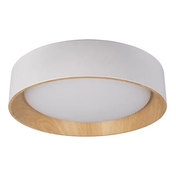 LOFT IT 10202 White Потолочный светильник Coin