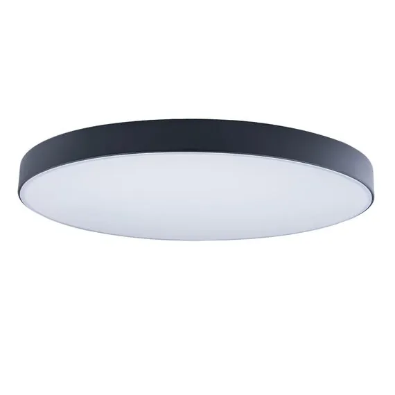 LOFT IT 10002/48 Black Потолочный светильник Axel