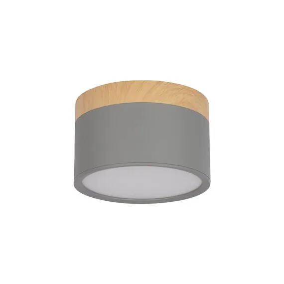 LOFT IT 10162 Grey Накладной светильник Grape