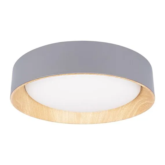 LOFT IT 10202 Grey Потолочный светильник Coin