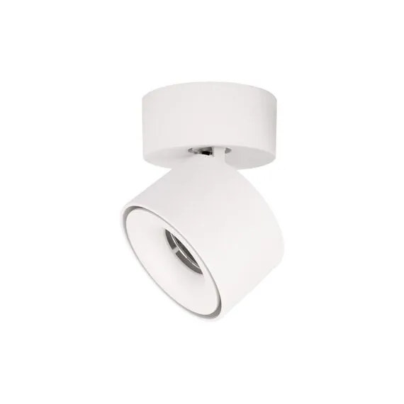 LOFT IT 10323/A White Накладной светильник Focus