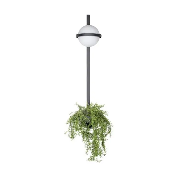 LOFT IT 10121W/B Настенный светильник Jardin