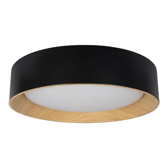 LOFT IT 10202 Black Потолочный светильник Coin