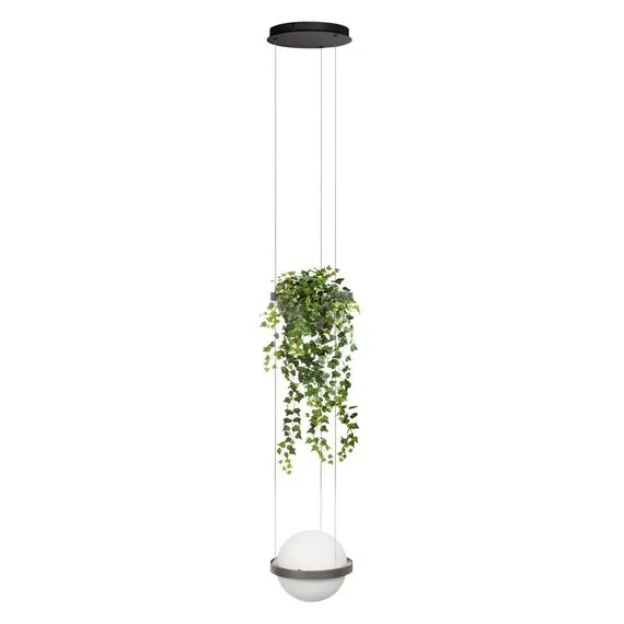 LOFT IT 10121/1P Dark grey Подвесной светильник Jardin