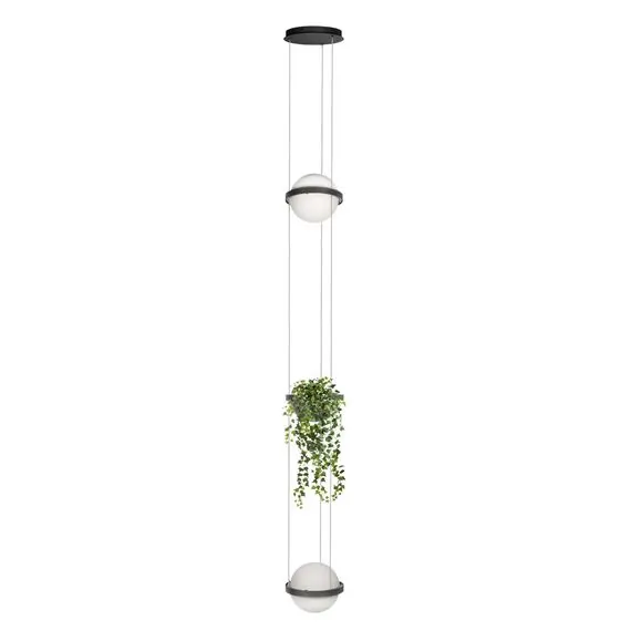 LOFT IT 10121/2P Dark grey Подвесной светильник Jardin