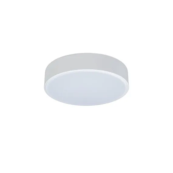 LOFT IT 10002/12 White Потолочный светильник Axel