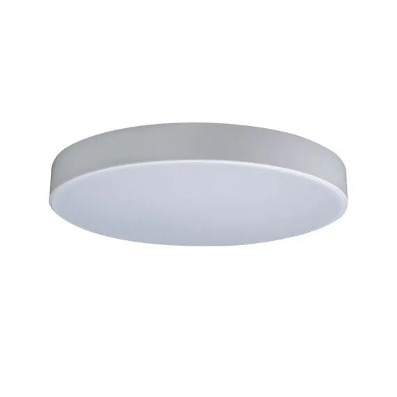 LOFT IT 10002/24 White Потолочный светильник Axel