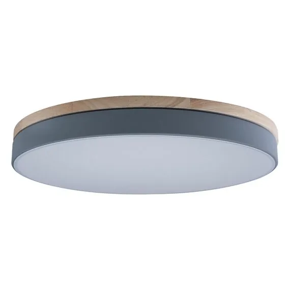 LOFT IT 10001/36 Grey Потолочный светильник Axel