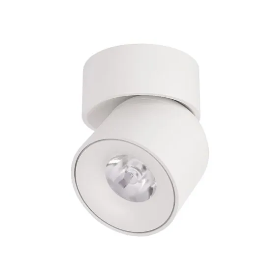 LOFT IT 10180 White 3000K Накладной светильник Tictac