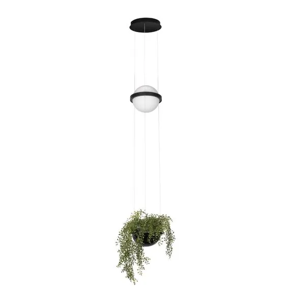 LOFT IT 10121/B  Подвесной светильник Jardin
