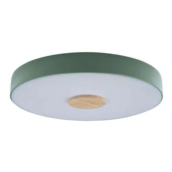 LOFT IT 10003/24 Green Потолочный светильник Axel