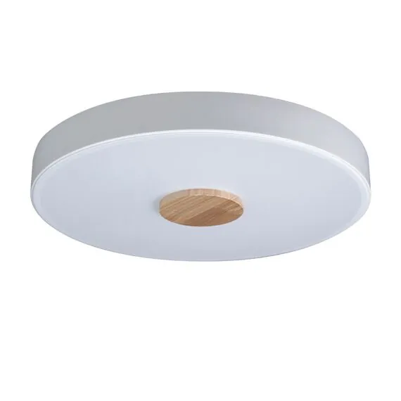 LOFT IT 10003/24 White Потолочный светильник Axel