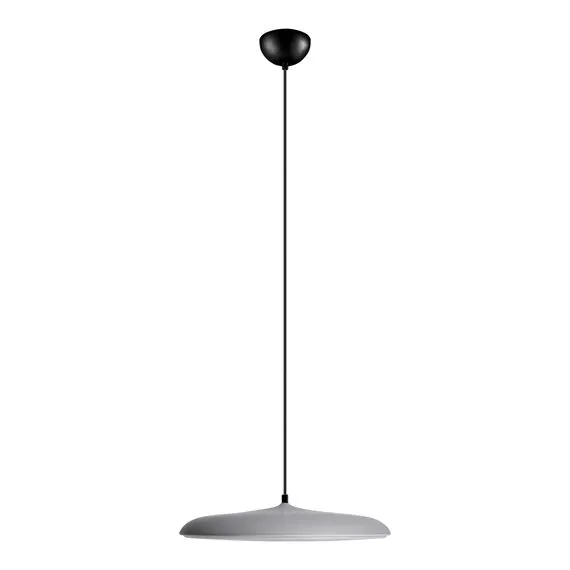 LOFT IT 10119 Grey Подвесной светильник Plato