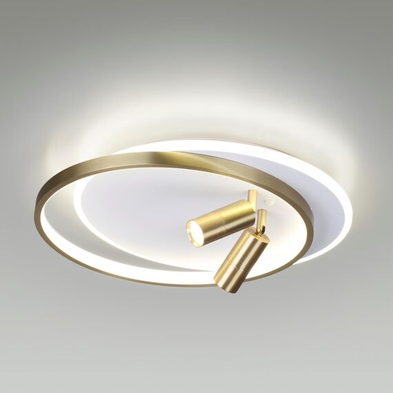 LUMION 5603/63CL LEDIO LN23 244 белый, золотой Люстра потолочная LED диммир. с ДУ 63W 3000-6000К 5025Лм 220V NAOKO, изображение 3