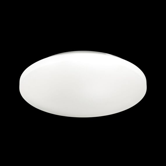 SONEX 3017/CL PALE SN 218 Светильник пластик/белый LED 30Вт 4000K D350 IP43 SIMPLE, изображение 3