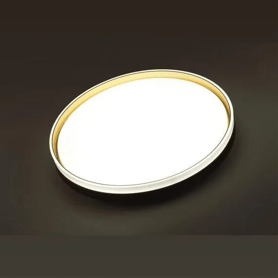 SONEX 7619/EL PALE SN 160 Светильник пластик/черн./золот. LED 72Вт 3000-6300K D490 IP43 пульт ДУ SAVI, изображение 4