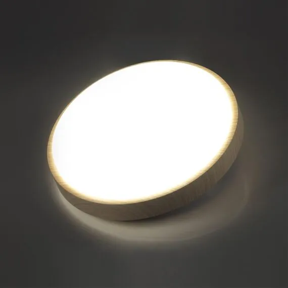 SONEX 7607/DL PALE SN 170 Светильник пластик/беж. под дерево LED 48Вт 3000-6300K D400 IP43 пульт ДУ LOSTA, изображение 4