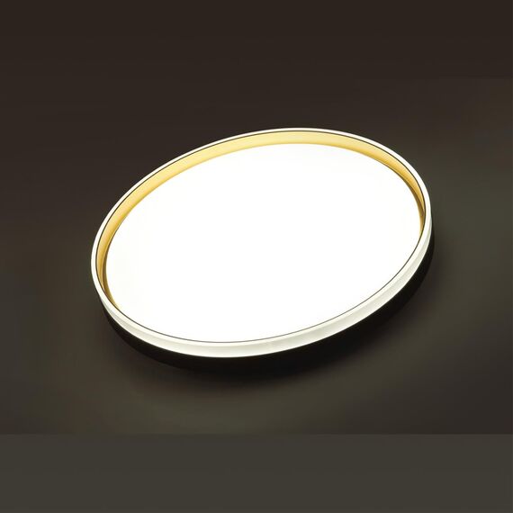 SONEX 7619/DL PALE SN 160 Светильник пластик/черн./золот. LED 48Вт 3000-6300K D390 IP43 пульт ДУ SAVI, изображение 4