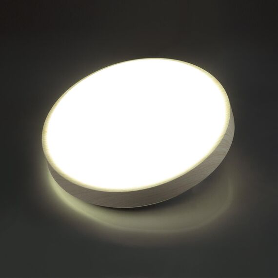 SONEX 7628/DL PALE SN 170 Светильник пластик/беленый под дер. LED 48Вт 3000-6300K D400 IP43 пульт ДУ LOSTA, изображение 5