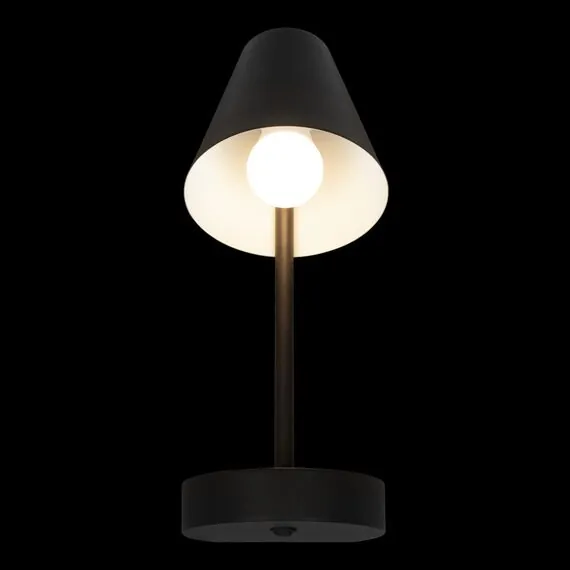 LOFT IT 10216/1W Black Настенный светильник Shelf, изображение 2