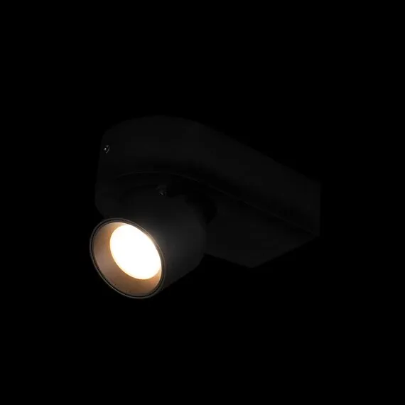 LOFT IT 10320 Black Накладной светильник Quiet, изображение 2