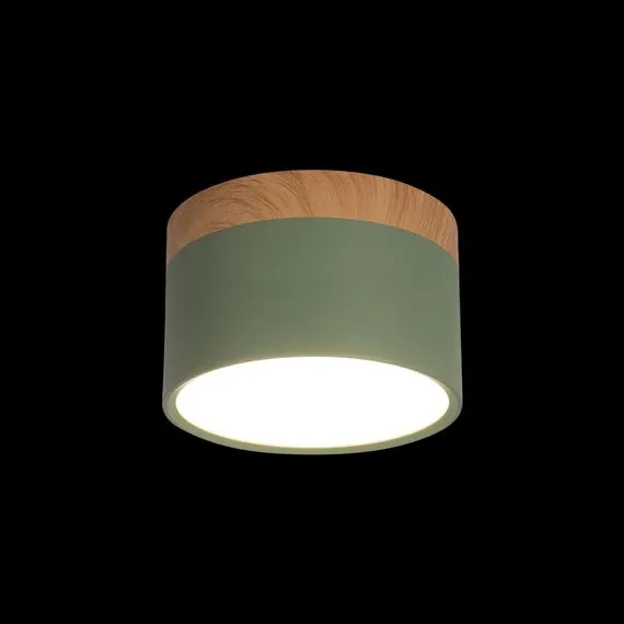 LOFT IT 10162 Green Накладной светильник Grape, изображение 2