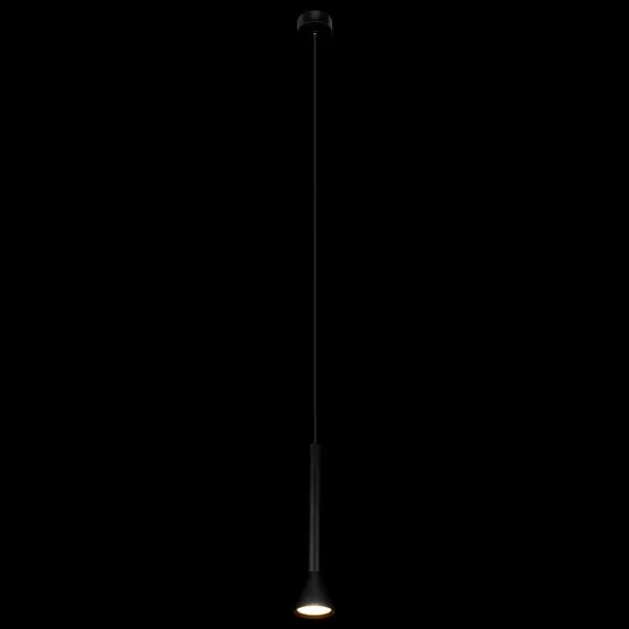 LOFT IT 10337/250 Black Подвесной светильник Pipe, изображение 2